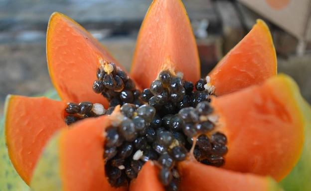 Papaya, digestiva y refrescante