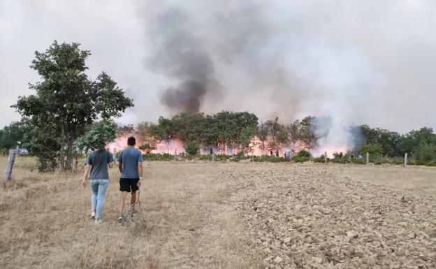 Suárez-Quiñones señala «circunstancias favorables a la estabilización» en el incendio forestal de Monsagro