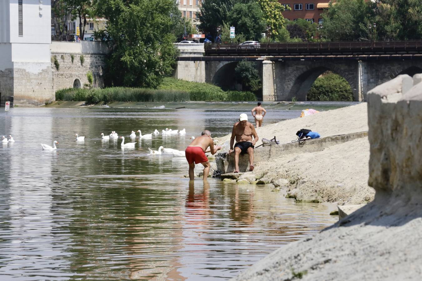 El agua del Pisuerga en las Moreras, no apta para el baño