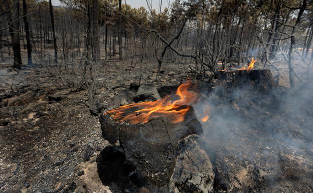 Los medios aéreos se retiran del incendio de Monsagro por los fuertes vientos existentes