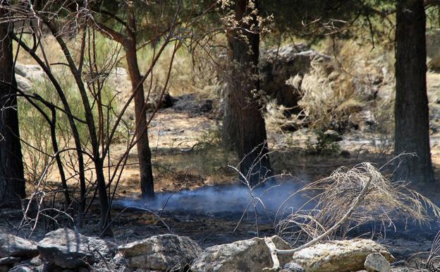 La Junta rebaja a nivel 1 la peligrosidad del incendio de Navafría