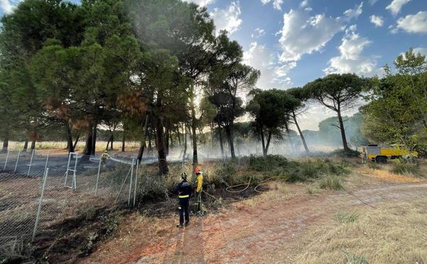 Sofocado un fuego de pinos y maleza en Laguna de Duero