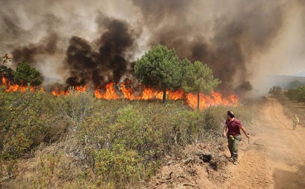 Prevenir incendios