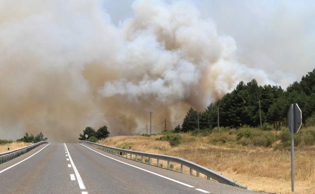 Objetivo: impedir que las vacas lleguen a la N-110 tras la destrucción del vallado