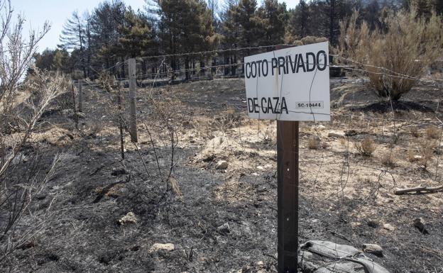 El fuego de Navafría y Torre Val de San Pedro baja a nivel 0 de peligrosidad