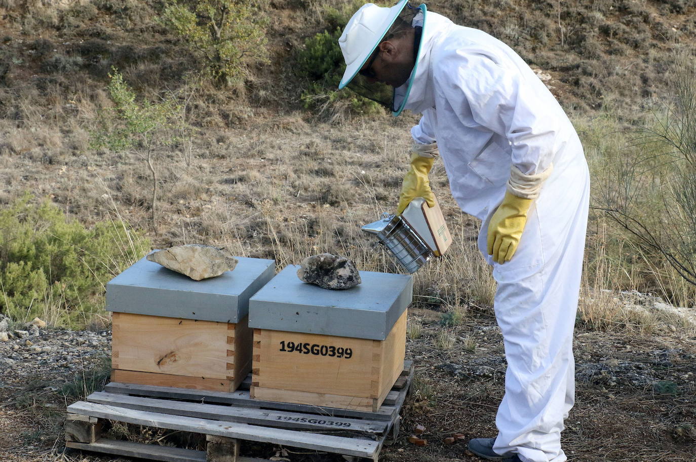 Unión de Campesinos alerta de la alta mortandad de la población de abejas