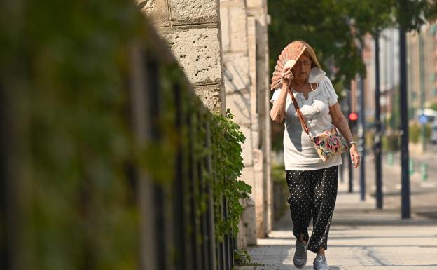 Castilla y León alcanza un exceso de mortalidad de 1.000 personas en julio