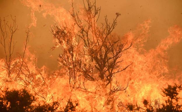 La crisis por calor extremo que vive España se ve desde el espacio