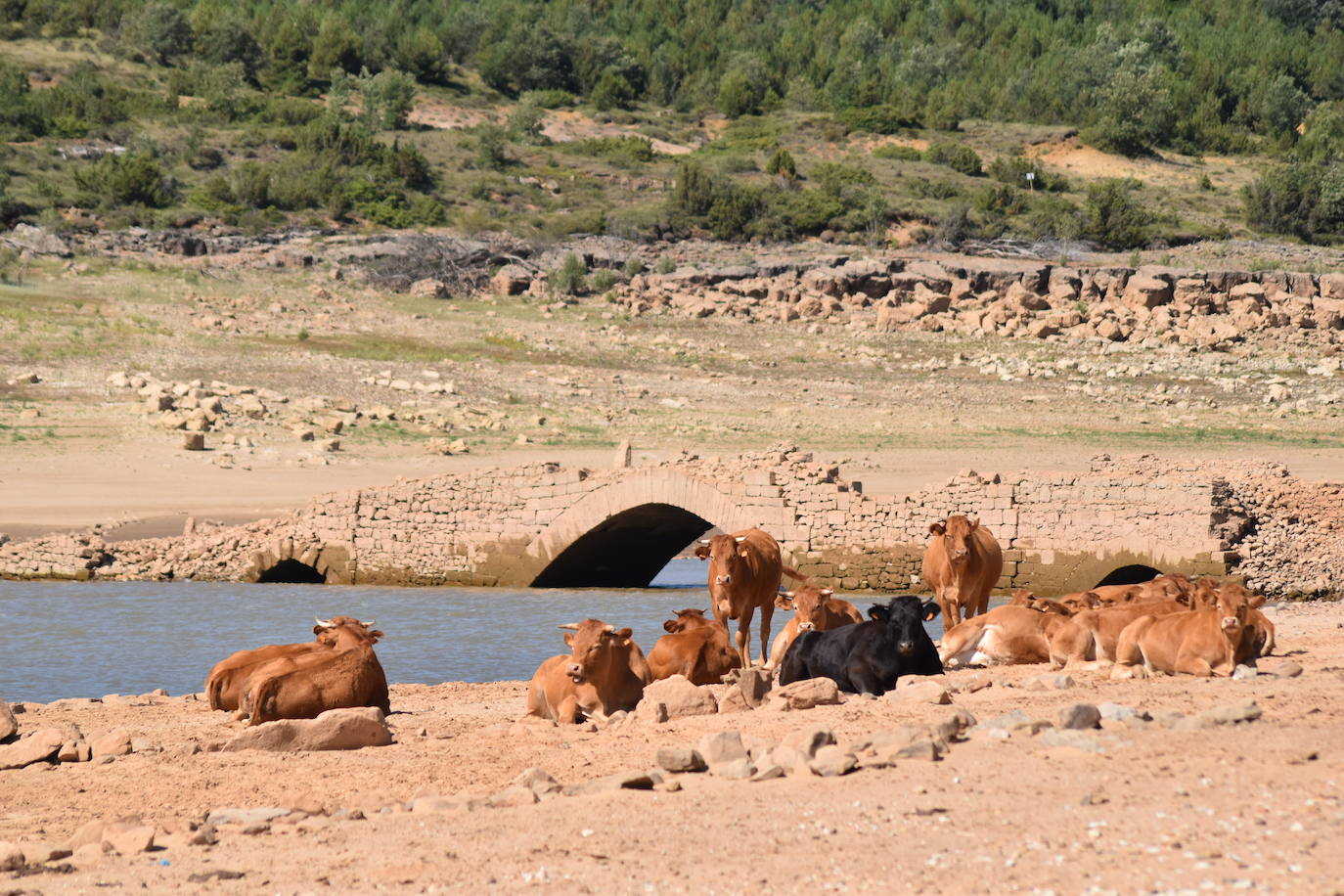 Los pueblos inundados por el pantano de Aguilar afloran de nuevo