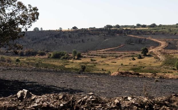 Incendios: no es el clima, es el combustible