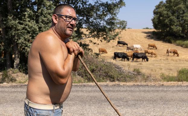 «Nos caemos y seguimos adelante. Alguien tiene que luchar por la tierra»