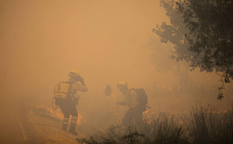 El incendio de Losacio baja a Nivel 1 tras dejar 31.000 hectáreas quemadas y dos fallecidos