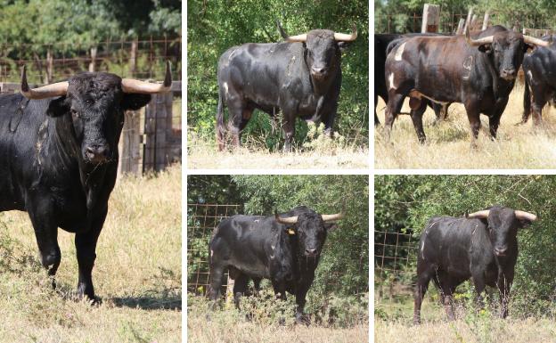 La Liga del Corte Puro regresa a unos de sus feudos