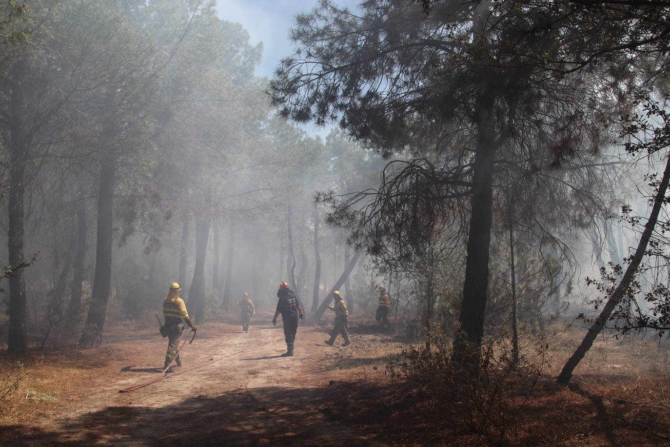 Incendio forestal en Cuéllar