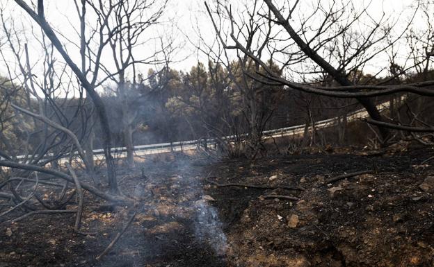 Greenpeace lleva a la Fiscalía la actuación de la Junta en el fuego de la Sierra de la Culebra