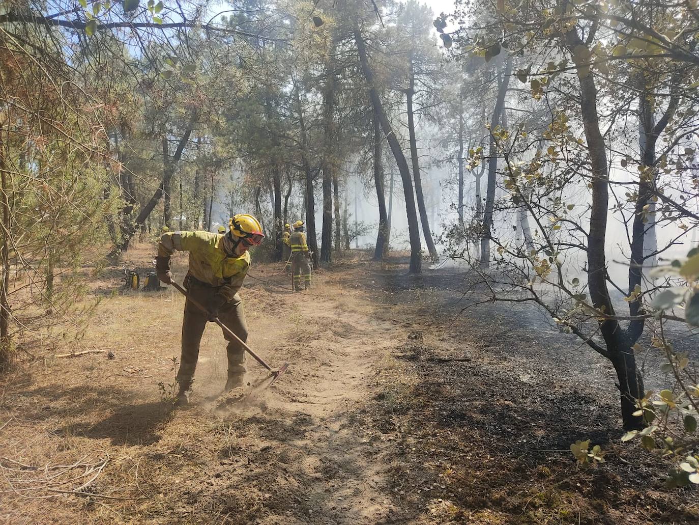 Los servicios de extinción controlan un incendio en Cuéllar