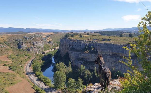 Artistas callejeros y calles con arte