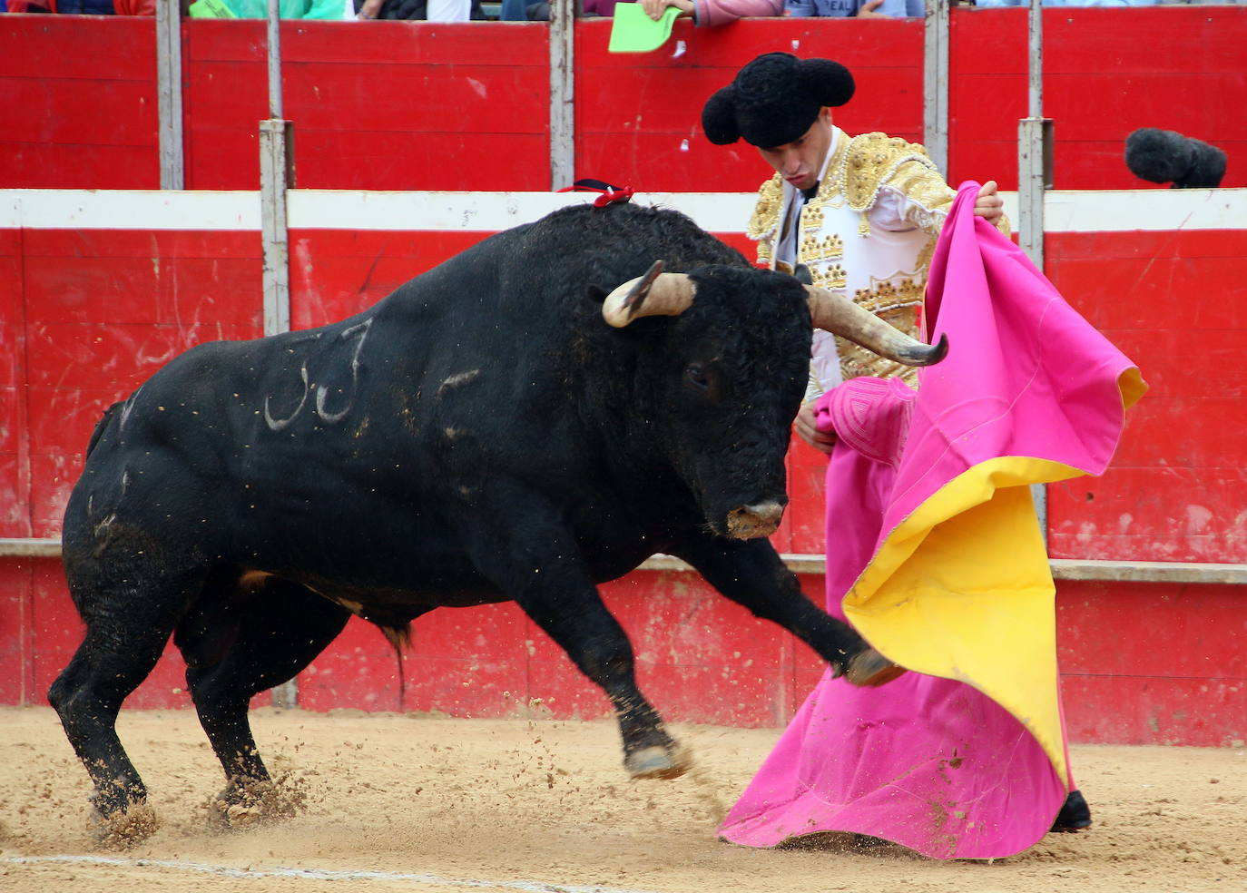 Riaza perfila los festejos de su feria taurina que tendrá lugar en el mes de septiembre