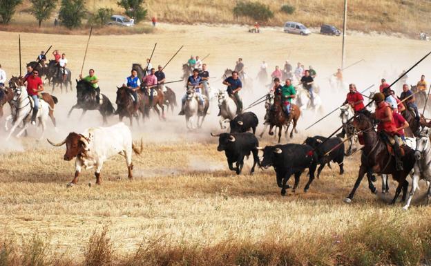 Íscar y Pedrajas, únicos municipios de Pinares con festejos taurinos en agosto