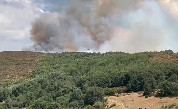 Estabilizado el incendio de Pineda de la Sierra