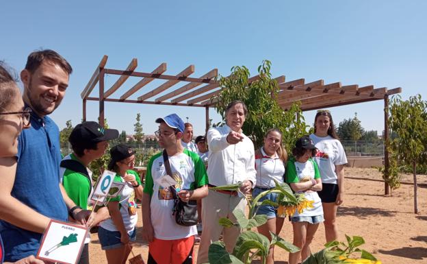 Cerca de 1.000 niños participan en los últimos 15 años en las semicolonias del Ayuntamiento y AVIVA