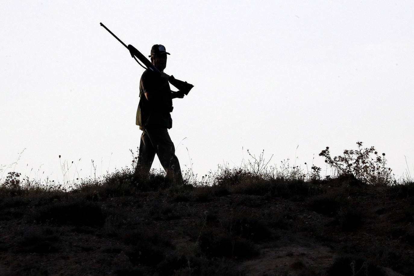 Enfado entre los cazadores por el exceso de batidas en Valladolid contra las torcaces