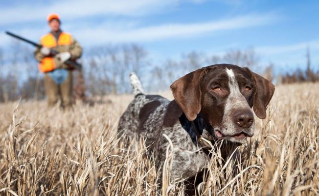 El anteproyecto de ley de Protección Animal se aprueba sin contar con el sector de la caza