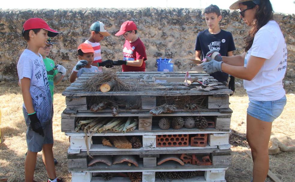 Cuéllar crea un 'hotel' para insectos