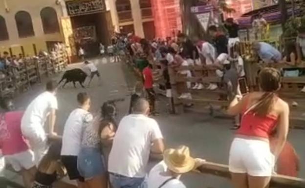 Cogida mortal en La Seca: «Con una cornada así es imposible salvarse, ni aunque ocurra en la puerta del hospital»