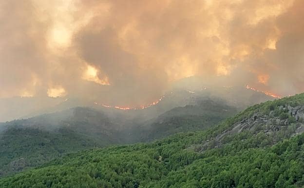 Continúa avanzando el incendio de Ávila que obliga a cortar la AV-922 y quema en torno a 1.000 hectáreas