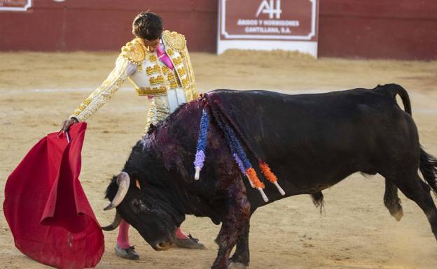 Ruiz Muñoz toreará en Navalmanzano con Canales Rivera, El Cid, De Frutos y El Cordobés