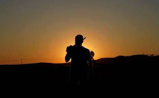 La Federación de Caza apunta que la media veda de la codorniz es «poco esperanzadora»