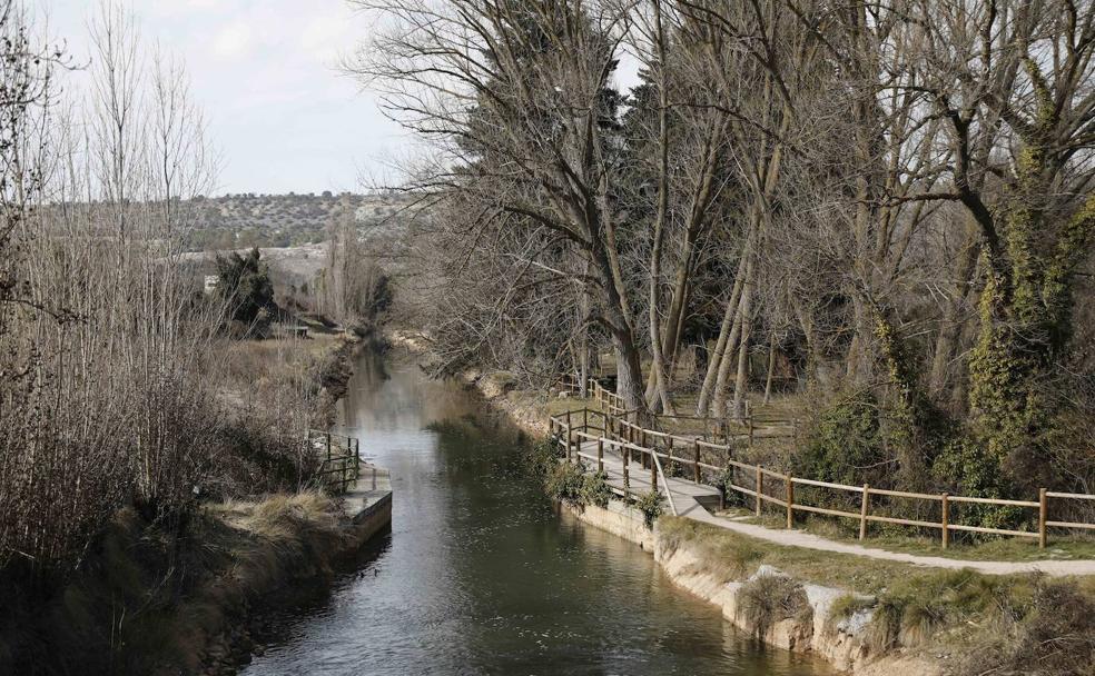 Sardón de Duero: hijos del Duero y de la orden de Premontré