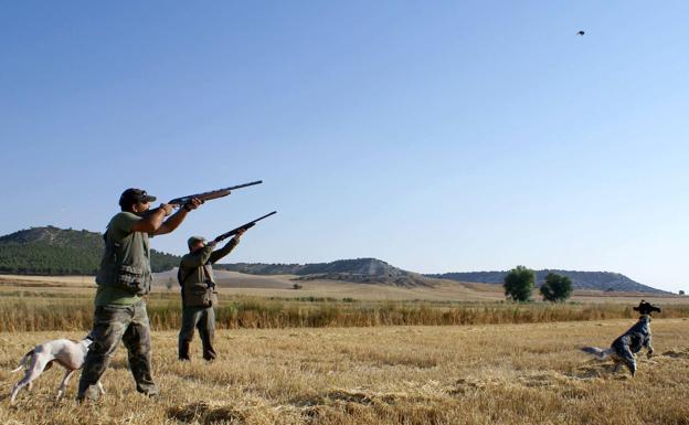 La caza de la codorniz está limitada a 25 ejemplares por cazador y día