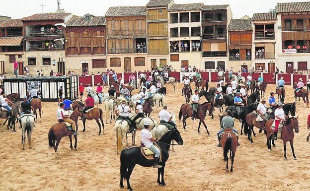 Trashumancia para recordar los antiguos encierros de Peñafiel