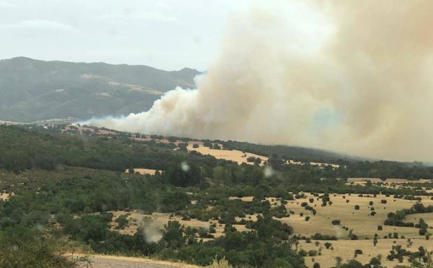 Los servicios de extinción 'confinan' el incendio de Becerril y frenan su avance hacia Villacorta