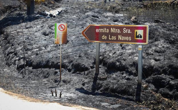 La Junta declara alerta urgente por riesgo extremo de incendios forestales