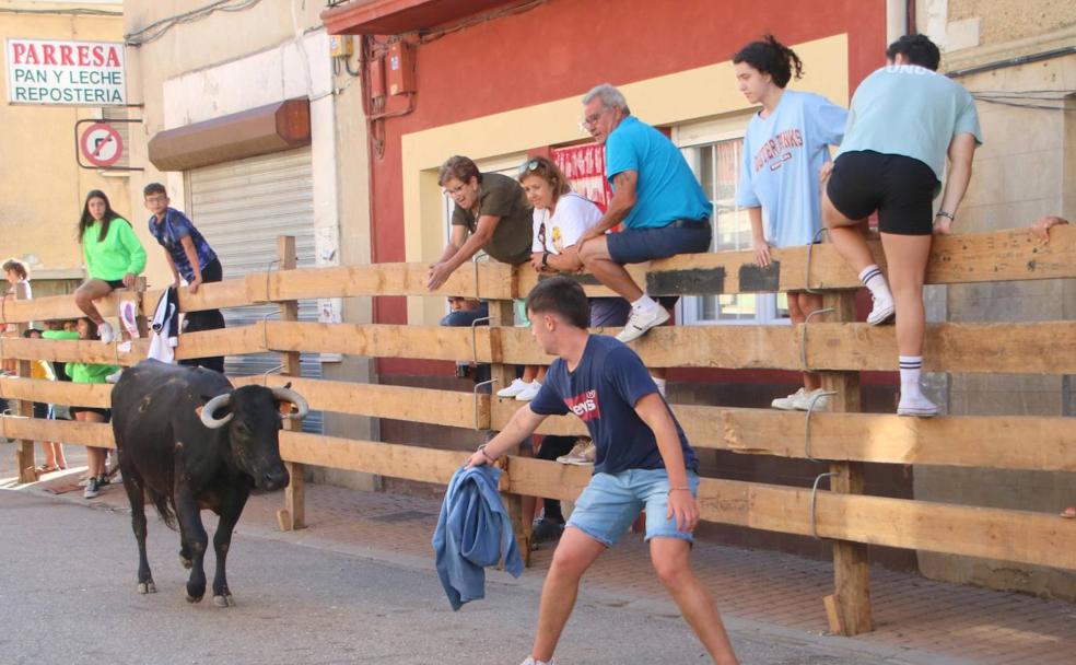 Torquemada, fiel a su cita con los encierros