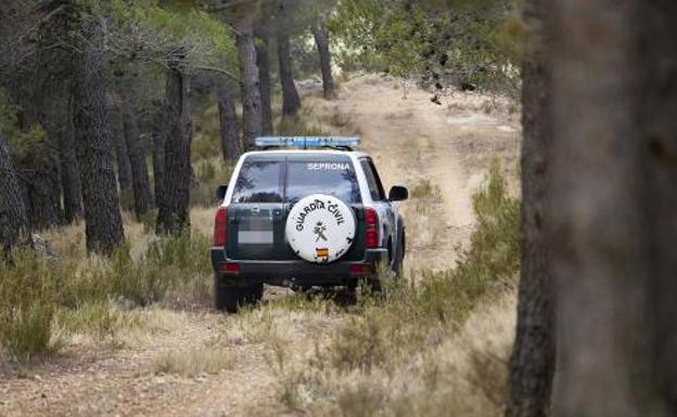 Una asociación profesional de la Guardia Civil pide reforzar la plantilla del Seprona