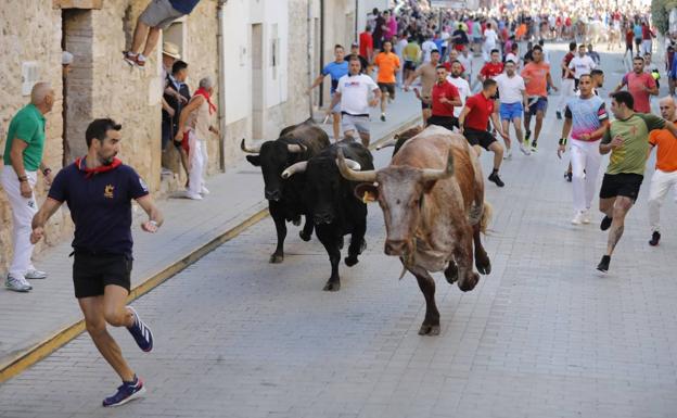 El primer encierro de Peñafiel se desarrolla sin incidentes