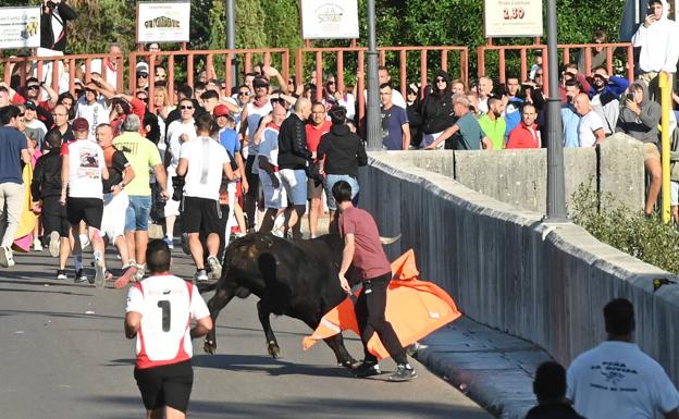 El Toro del Alba vuelve a correr por las calles de Tudela de Duero
