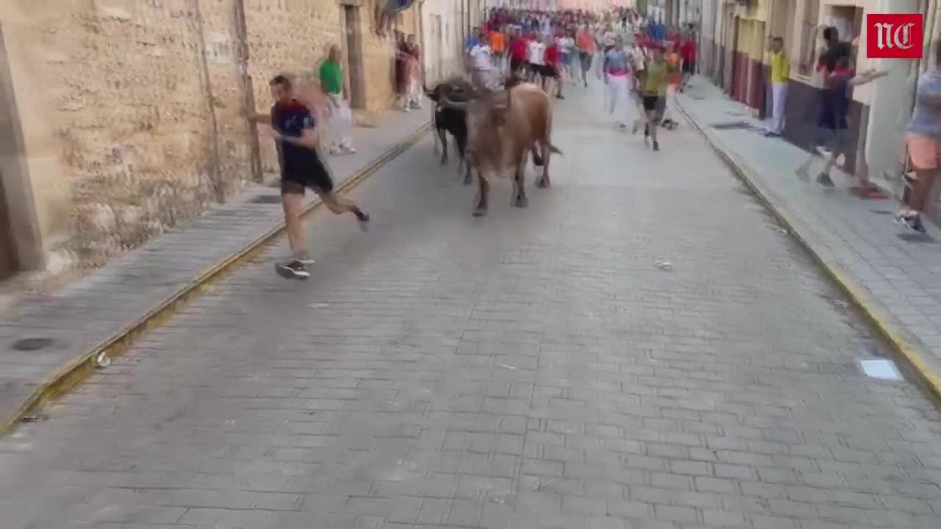 Así ha sido el primer encierro de las fiestas de Peñafiel