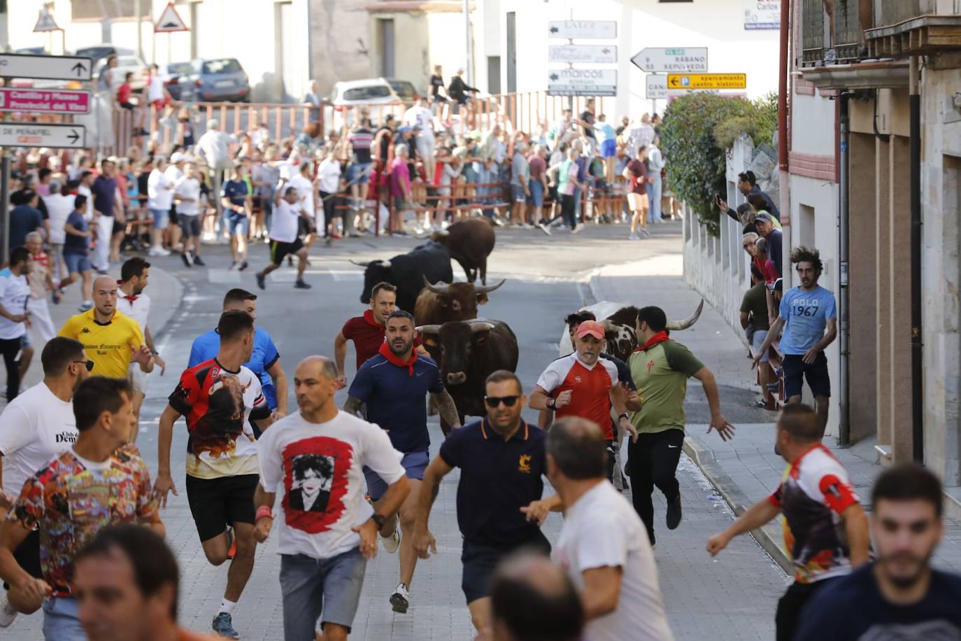 Segundo encierro de las fiestas de Peñafiel