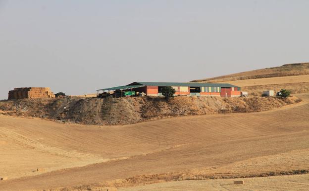 El 14% de las explotaciones agrarias de Segovia han cerrado en el último decenio