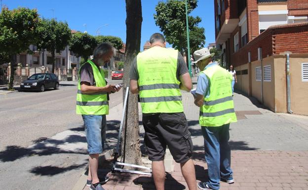 El Espadañal registra más de 1.500 árboles en Cuéllar
