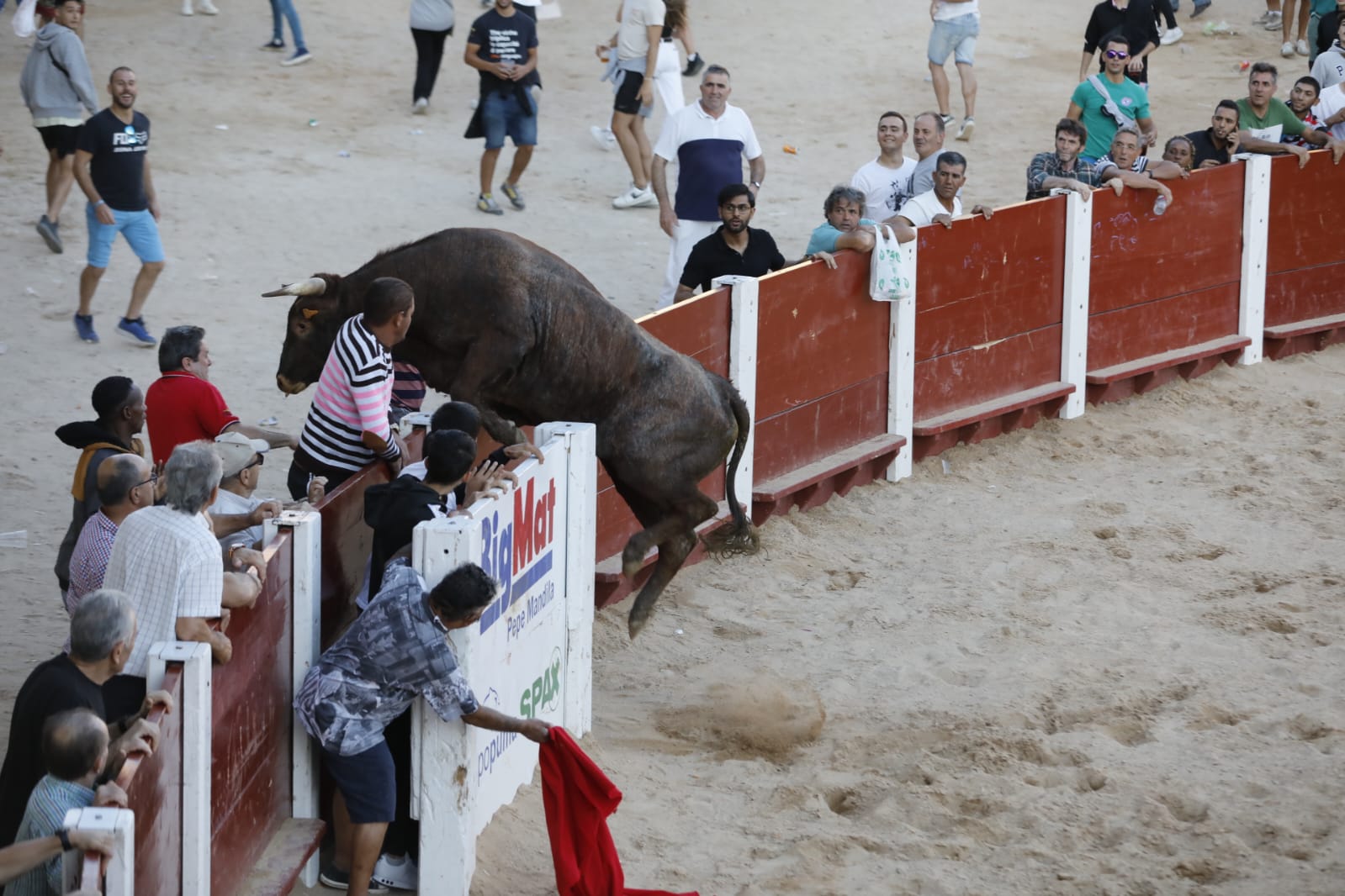 La secuencia de imágenes del toro que ha embestido a un hombre en Peñafiel