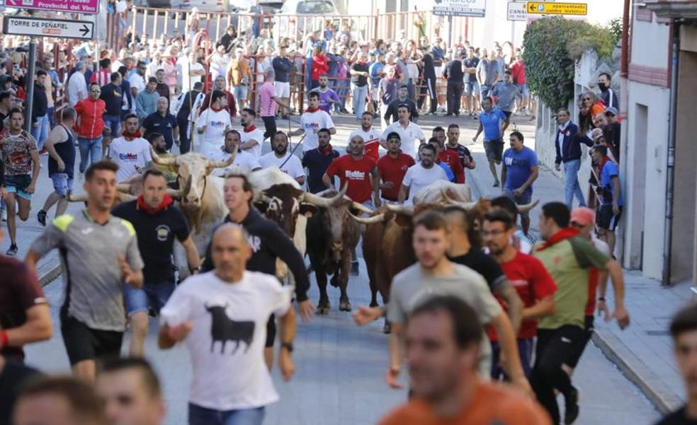 Rápido y limpio tercer encierro de las fiestas de Peñafiel
