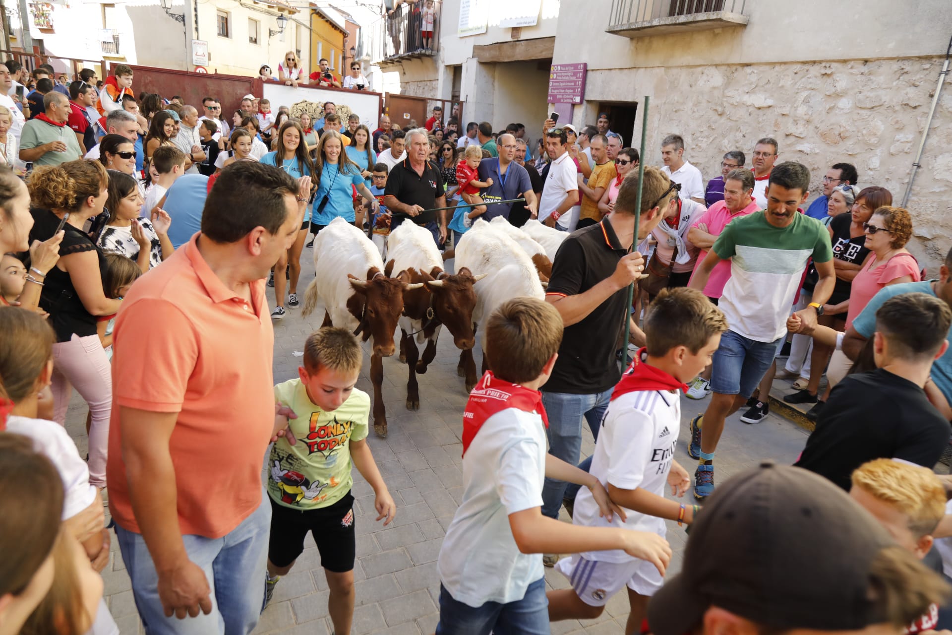 Peñafiel despide unas fiestas marcadas por una participación masiva de público