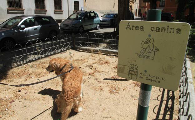 Segovia consulta a la Junta si el ADN canino que quiere implantar es legal