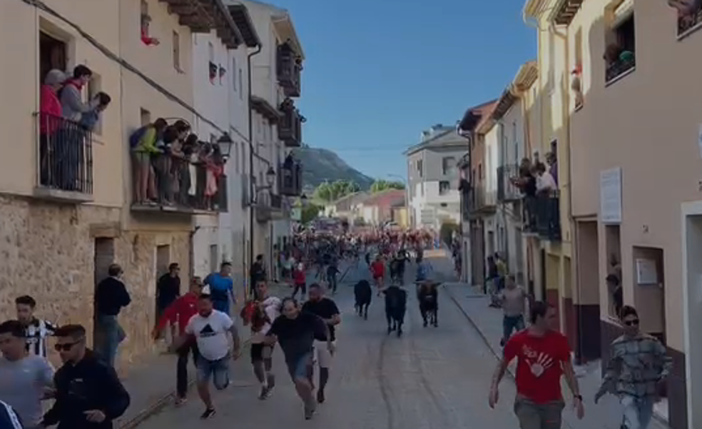 Último encierro de las fiestas de Peñafiel